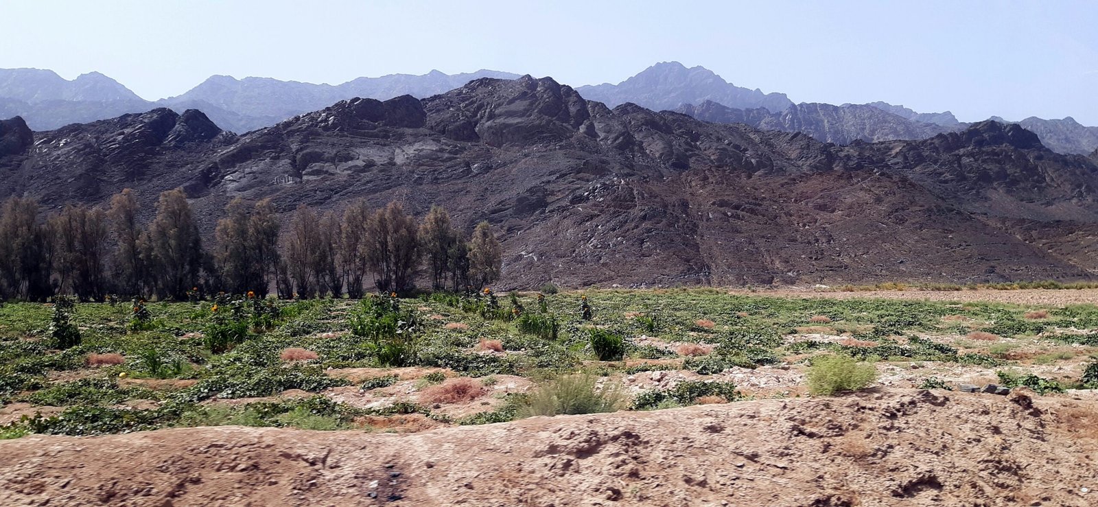 Arid mountain desert landscape in Balochistan, Pakistan, representative image for the province's mineral-rich but remote interior