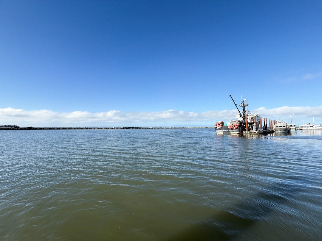 A working fishing harbor with a breakwater jetty, representative image illustrating the type of breakwater and harbor infrastructure proposed for Gwadar's West Bay