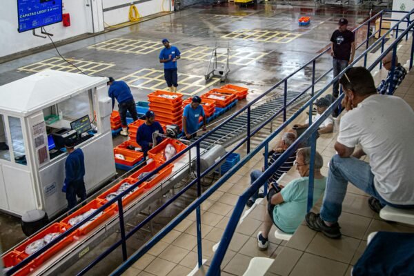 Fish market auction hall with workers moving crates, representative image for the reopened Surbandar Fish Auction Hall in Gwadar