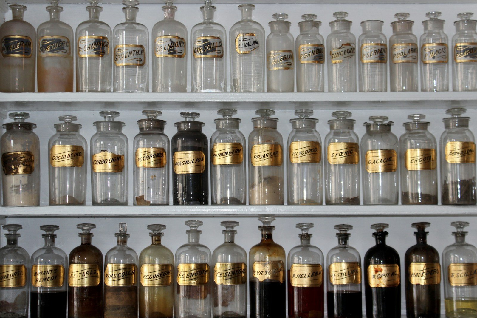 Shelves of jars in an old-style pharmacy, representative image for the traditional Chinese medicine trade that drives demand for donkey-hide gelatin