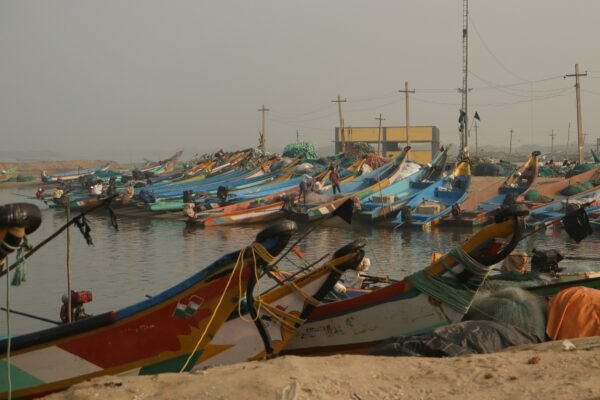 Colorful fishing boats docked in a harbor, representing the Balochistan coastal fishing communities the new Fisheries and Aquaculture Bill aims to protect